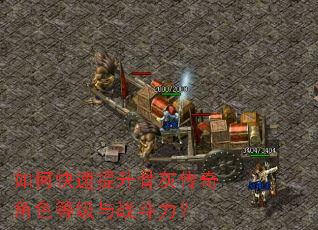 如何快速提升骨灰传奇角色等级与战斗力? 如何快速提升骨灰传奇角色等级与战斗力?