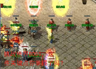 ��ս����BOSS����Щ�ؼ�������������