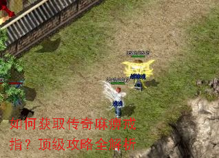 如何获取传奇麻痹戒指?顶级攻略全解析 如何获取传奇麻痹戒指?顶级攻略全解析