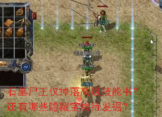 石墓尸王仅掉落高级技能书?还有哪些隐藏宝物待发掘? 石墓尸王仅掉落高级技能书?还有哪些隐藏宝物待发掘?