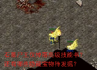 石墓尸王仅掉落高级技能书?还有哪些隐藏宝物待发掘? 石墓尸王仅掉落高级技能书?还有哪些隐藏宝物待发掘?