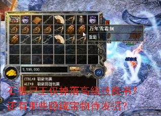 石墓尸王仅掉落高级技能书?还有哪些隐藏宝物待发掘? 石墓尸王仅掉落高级技能书?还有哪些隐藏宝物待发掘?