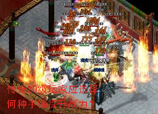 ����20�����Ӧѡ�������������ս����