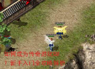 如何成为传奇游戏GM?新手入门全攻略解析 如何成为传奇游戏GM?新手入门全攻略解析