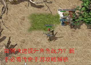 如何快速提升角色战力?新手必看传奇手游攻略解析 如何快速提升角色战力?新手必看传奇手游攻略解析