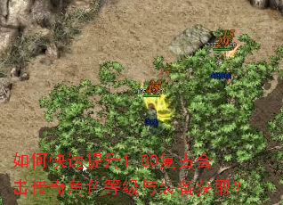 如何快速提升1.80复古合击传奇角色等级与装备获取? 如何快速提升1.80复古合击传奇角色等级与装备获取?