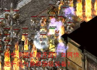 传奇手游新服开启,如何快速升级与获取顶级装备? 传奇手游新服开启,如何快速升级与获取顶级装备?