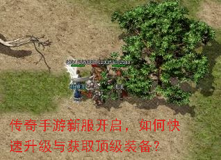 传奇手游新服开启,如何快速升级与获取顶级装备? 传奇手游新服开启,如何快速升级与获取顶级装备?