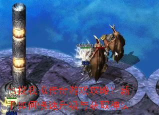 他找我拟传奇游戏攻略?新手如何快速升级与获取神装 他找我拟传奇游戏攻略?新手如何快速升级与获取神装