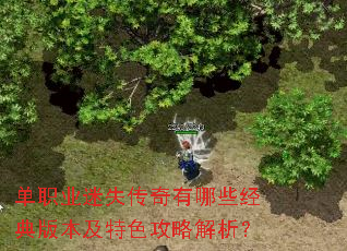 单职业迷失传奇有哪些经典版本及特色攻略解析? 单职业迷失传奇有哪些经典版本及特色攻略解析?