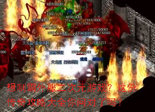 ���ư��������Ԫ��Ϸ����ݴ��湥�Դ�ȫ���ʶ�����