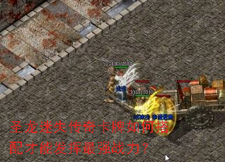圣龙迷失传奇卡牌如何搭配才能发挥最强战力? 圣龙迷失传奇卡牌如何搭配才能发挥最强战力?