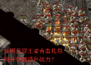 ��λ�ȡ���ߺϻ�����벢��������ս����