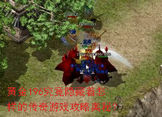 黄金196究竟隐藏着怎样的传奇游戏攻略奥秘? 黄金196究竟隐藏着怎样的传奇游戏攻略奥秘?