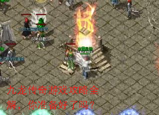 九龙传奇游戏攻略全解,你准备好了吗? 九龙传奇游戏攻略全解,你准备好了吗?