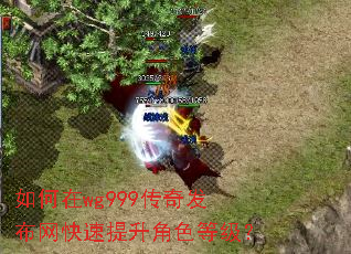 �����wg999���淢��������������ɫ�ȼ���