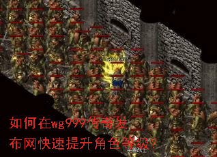 �����wg999���淢��������������ɫ�ȼ���