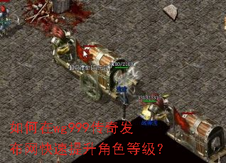 �����wg999���淢��������������ɫ�ȼ���