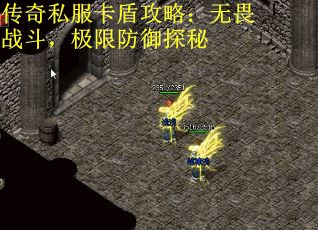 传奇私服卡盾攻略：无畏战斗，极限防御探秘 第2张