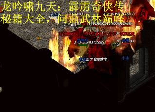 龙吟啸九天：霹雳奇侠传秘籍大全，问鼎武林巅峰