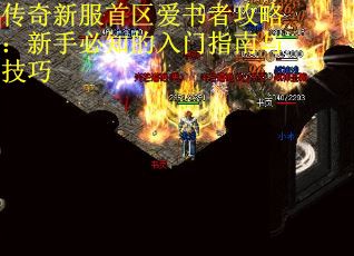 传奇新服首区爱书者攻略：新手必知的入门指南与技巧 第3张