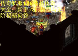 传奇私服176精品传奇大全：新手入门指南与进阶秘籍问答