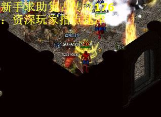 新手求助复古传奇176：资深玩家指点迷津