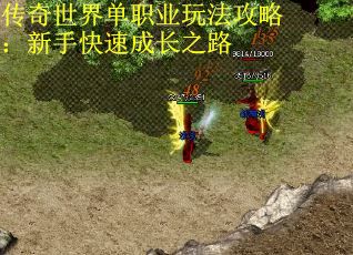 传奇世界单职业玩法攻略：新手快速成长之路