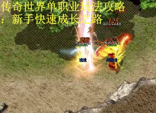 传奇世界单职业玩法攻略：新手快速成长之路 第3张