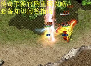 传奇手游官网重磅攻略：必备知识问答指南 第2张