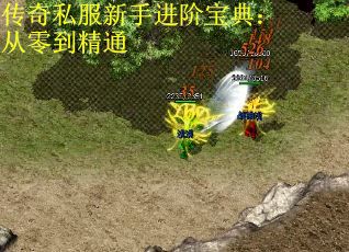 传奇私服新手进阶宝典：从零到精通