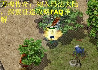 刀魂传奇：初入玛法大陆，探索征途攻略FAQ详解
