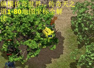 纵横传奇世界：传奇天之道1-80地图坐标全解读
