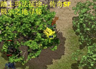 踏上玛法征途：传奇SF极乐之地寻秘