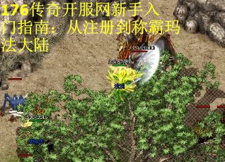 176传奇开服网新手入门指南：从注册到称霸玛法大陆