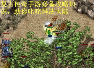 复古传奇手游必备攻略知识，助你叱咤玛法大陆