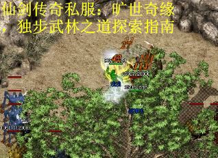 仙剑传奇私服：旷世奇缘，独步武林之道探索指南