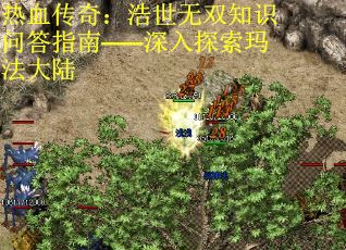 热血传奇：浩世无双知识问答指南——深入探索玛法大陆