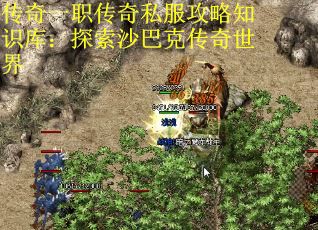 传奇一职传奇私服攻略知识库：探索沙巴克传奇世界