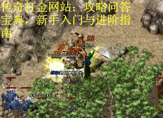 传奇打金网站：攻略问答宝典，新手入门与进阶指南