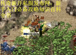 传奇新开私服发布网：新手入门必备攻略知识百科全书 第1张
