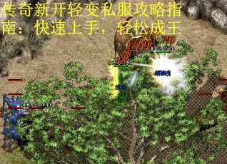 传奇新开轻变私服攻略指南：快速上手，轻松成王 第2张