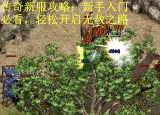 传奇新服攻略：新手入门必看，轻松开启无赦之路 第1张