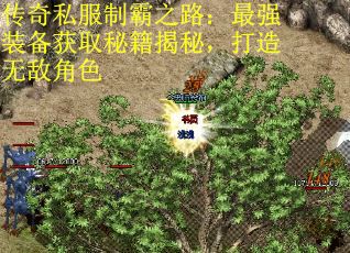 传奇私服制霸之路：最强装备获取秘籍揭秘，打造无敌角色 第1张