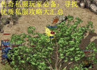 传奇私服玩家必备：寻找优质私服攻略大汇总 第1张
