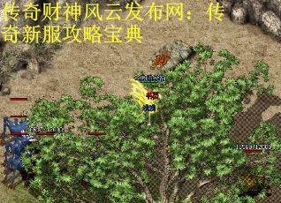 传奇财神风云发布网：传奇新服攻略宝典
