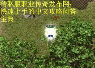 传私服职业传奇发布网：快速上手的中文攻略问答宝典