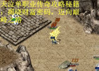 天泣单职业传奇攻略秘籍：揭晓财富密码，迈向巅峰之路