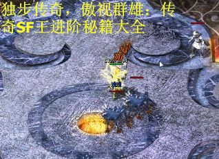 独步传奇，傲视群雄：传奇SF王进阶秘籍大全 第1张