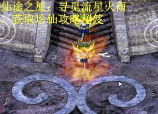 仙途之旅：寻觅流星火雨，获取珍仙攻略秘笈